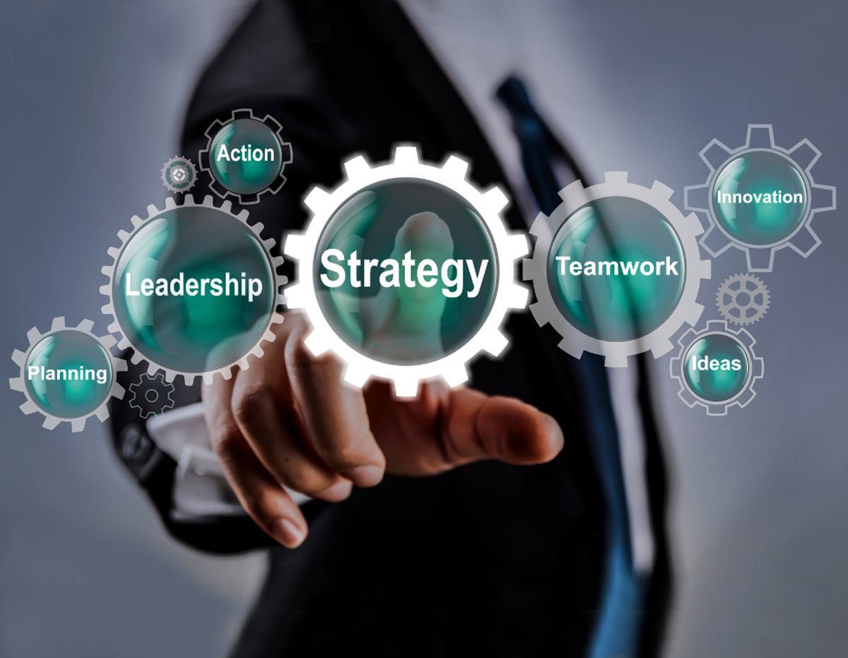 Custom Web Portal Development